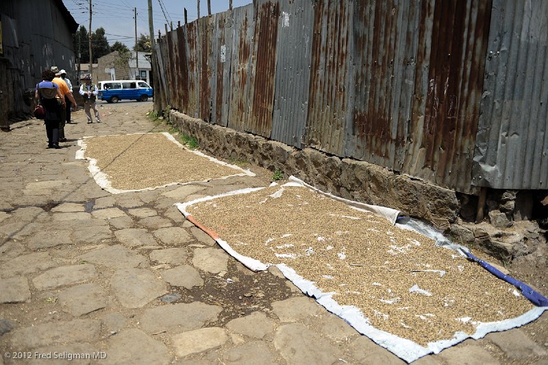 20120328_113902 Nikon D3S 2x3.jpg - This is flour drying to make teff which is used to make Injera (bread)